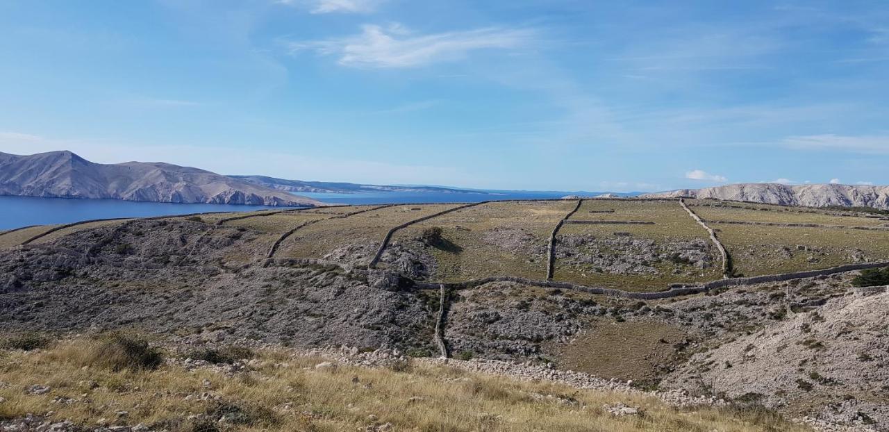 Ruza * Draga Bašćanska
